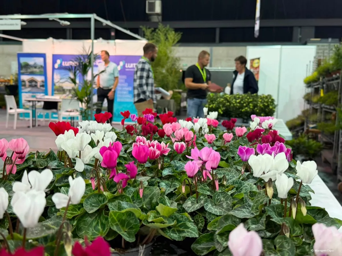 ©WaregemExpo