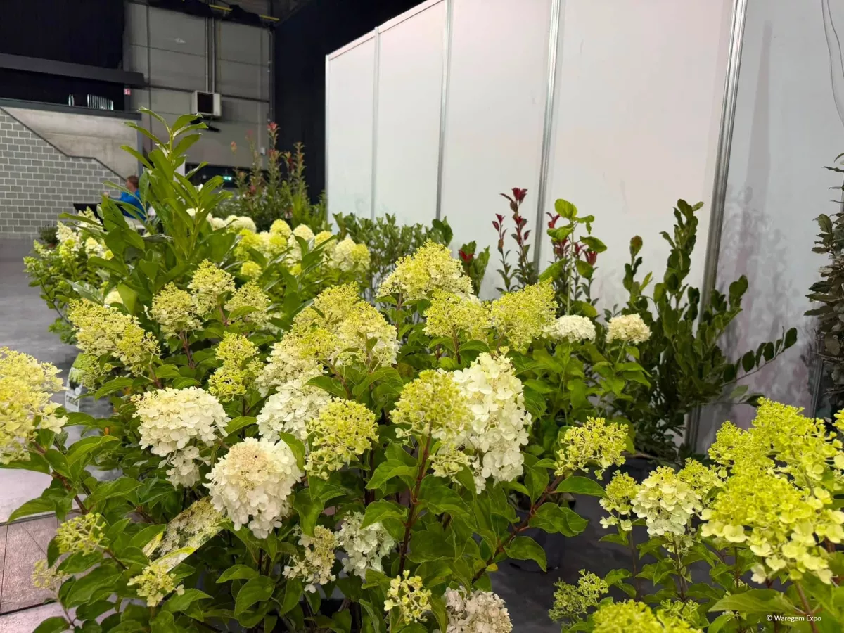 ©WaregemExpo