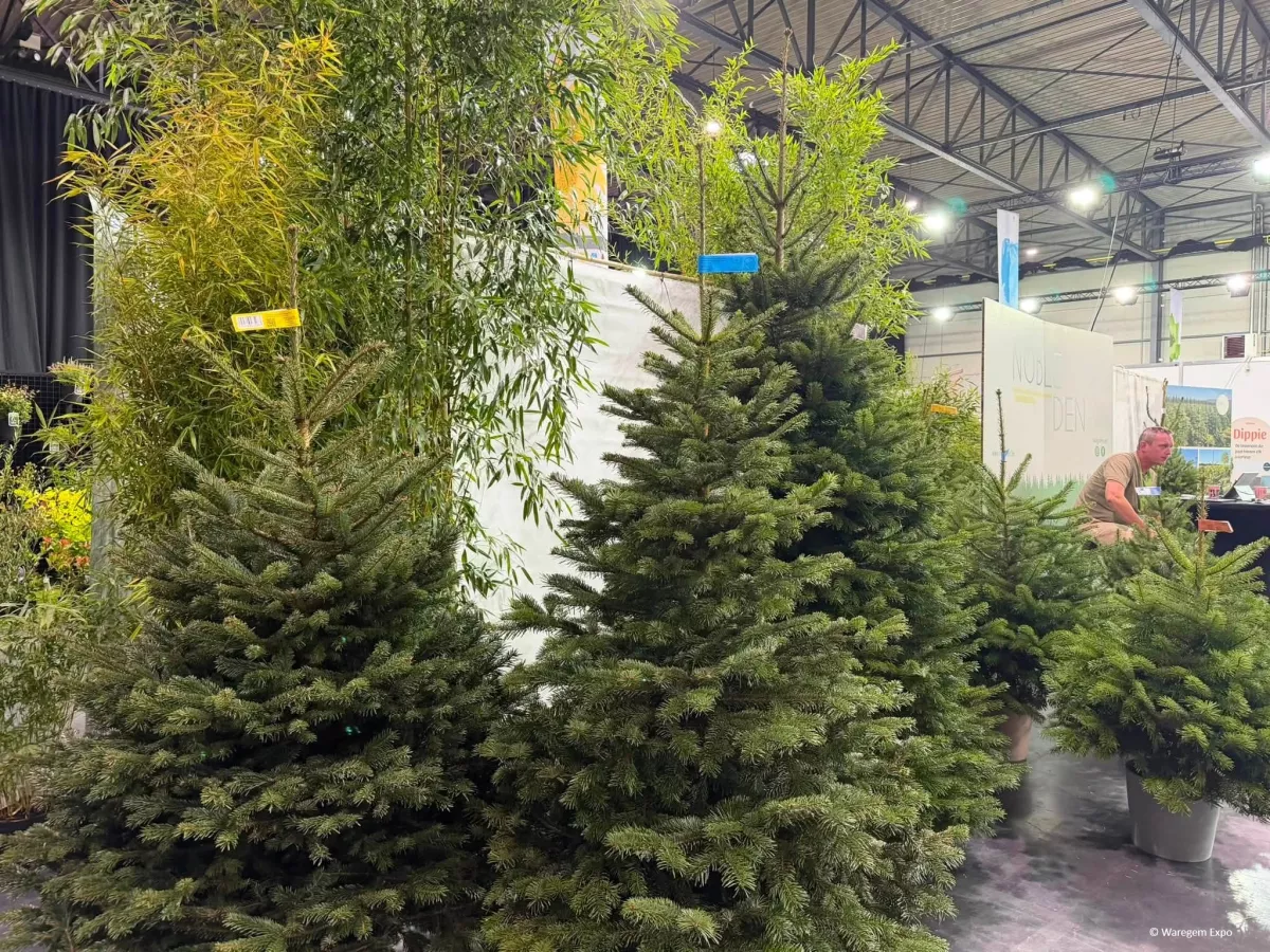 ©WaregemExpo