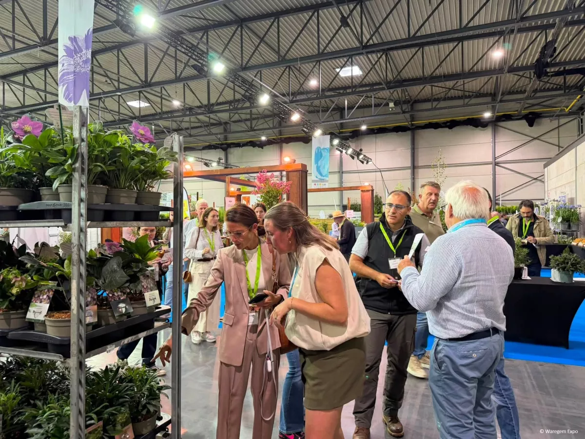 ©WaregemExpo