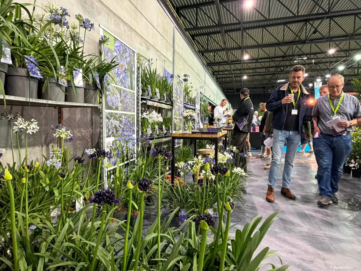 ©WaregemExpo