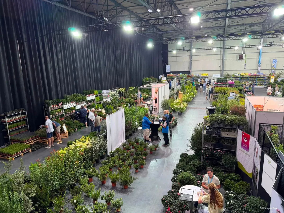 ©WaregemExpo