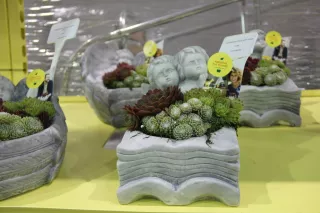 'Fabulous Fat Friends’