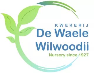 De Waele-Wilwoodii