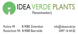 ideaverde