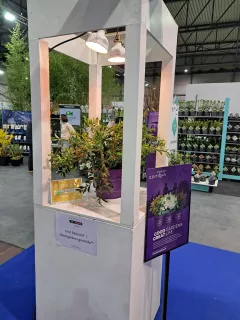 Concept First Editons