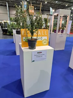 Inzending GrootGroenPlus