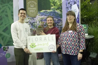 Joren De Wachter - Charlotte Vermeiren - Anja De Middeleir