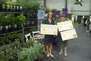 VarietySilverNajaar2025